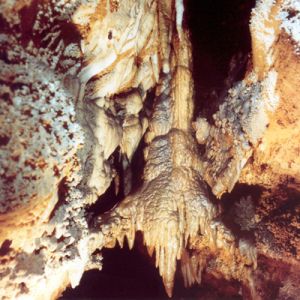 Rettenwandhöhle Kapfenberg 316__rettenwandhoehle.jpg